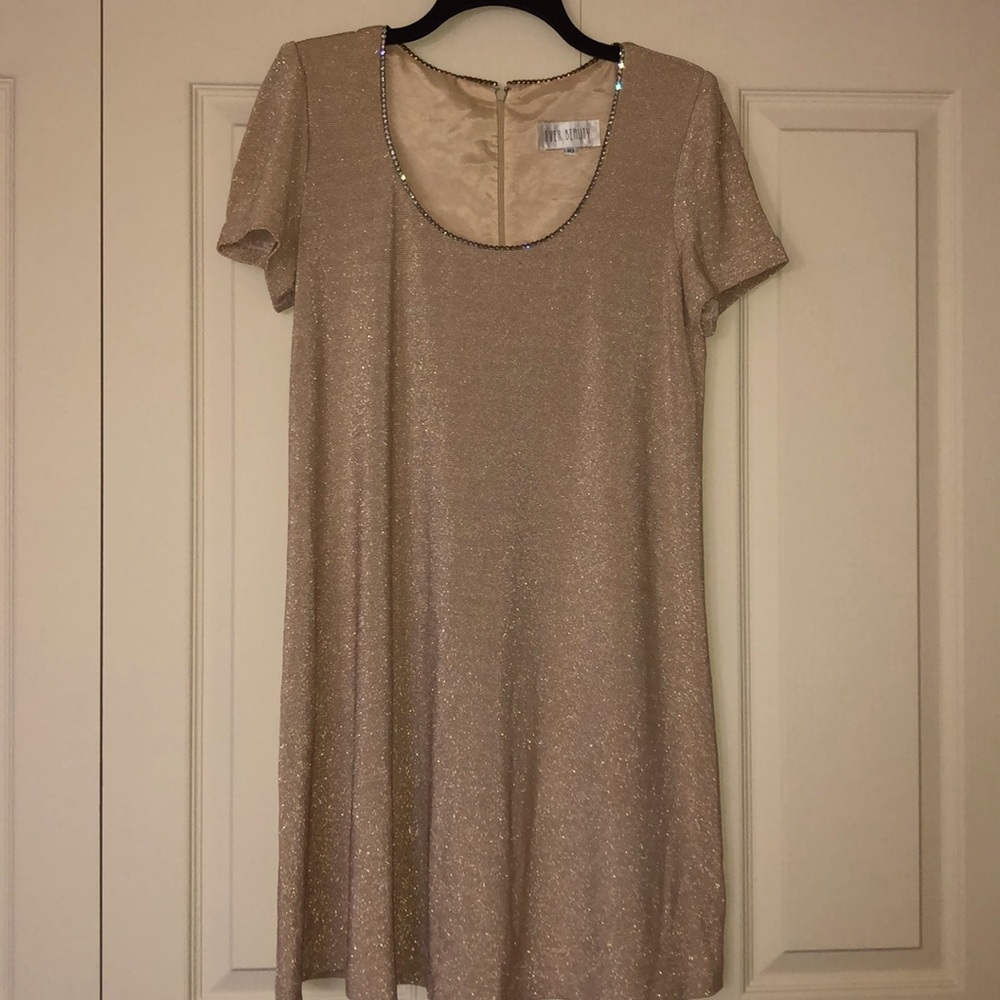 Women’s Shimmer Dress Size 10